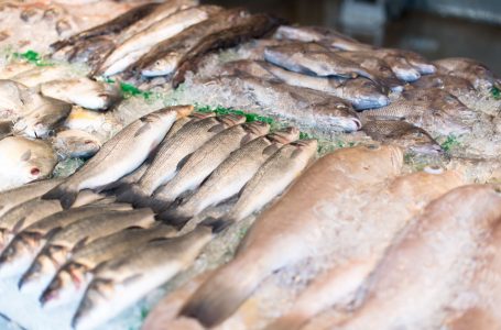 Nutricionista explica en qué debemos fijarnos al comprar productos del mar