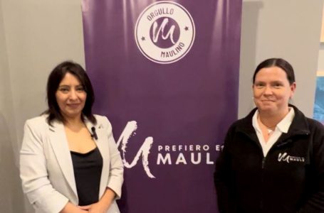 Alianza entre Prefiero El Maule y Colegio de Empresarios y Emprendedores de Chile busca fomentar el conocimiento en pymes y emprendedores