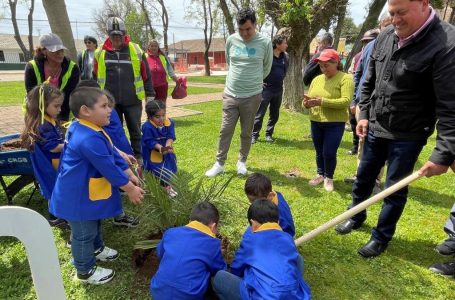 Celebran Día Mundial de la Protección de la Naturaleza con plantación de palmas chilenas en Pelarco