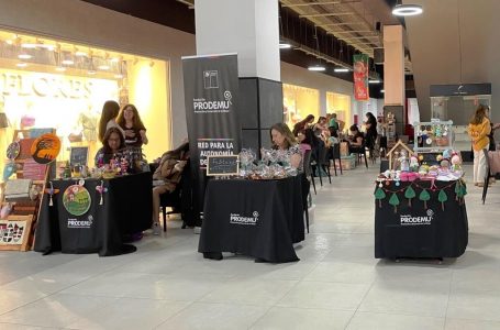 20 emprendedoras maulinas participan en Feria Navideña en mall Go Florida
