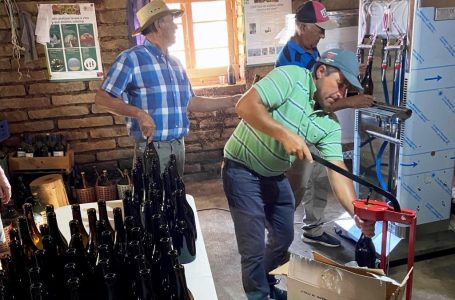 Apoyo del FOSIS permite a viñateros mejorar la calidad y optimizar la producción de sus vinos de origen centenario