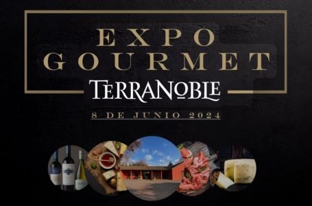 Expo Gourmet se desarrollará en Viña Terranoble organizada junto a Prefiero el Maule